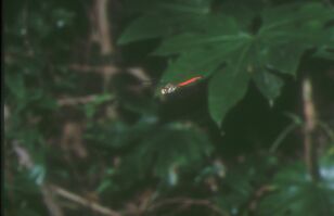 Nikon F90XS 105�~�� E100S 99�N9���B�e