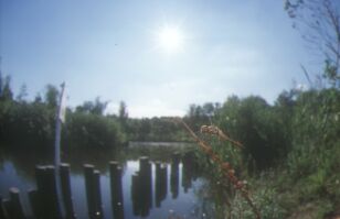 �����炬�̐X